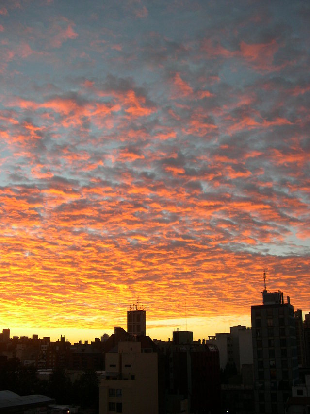 dawn-1220823-639x852