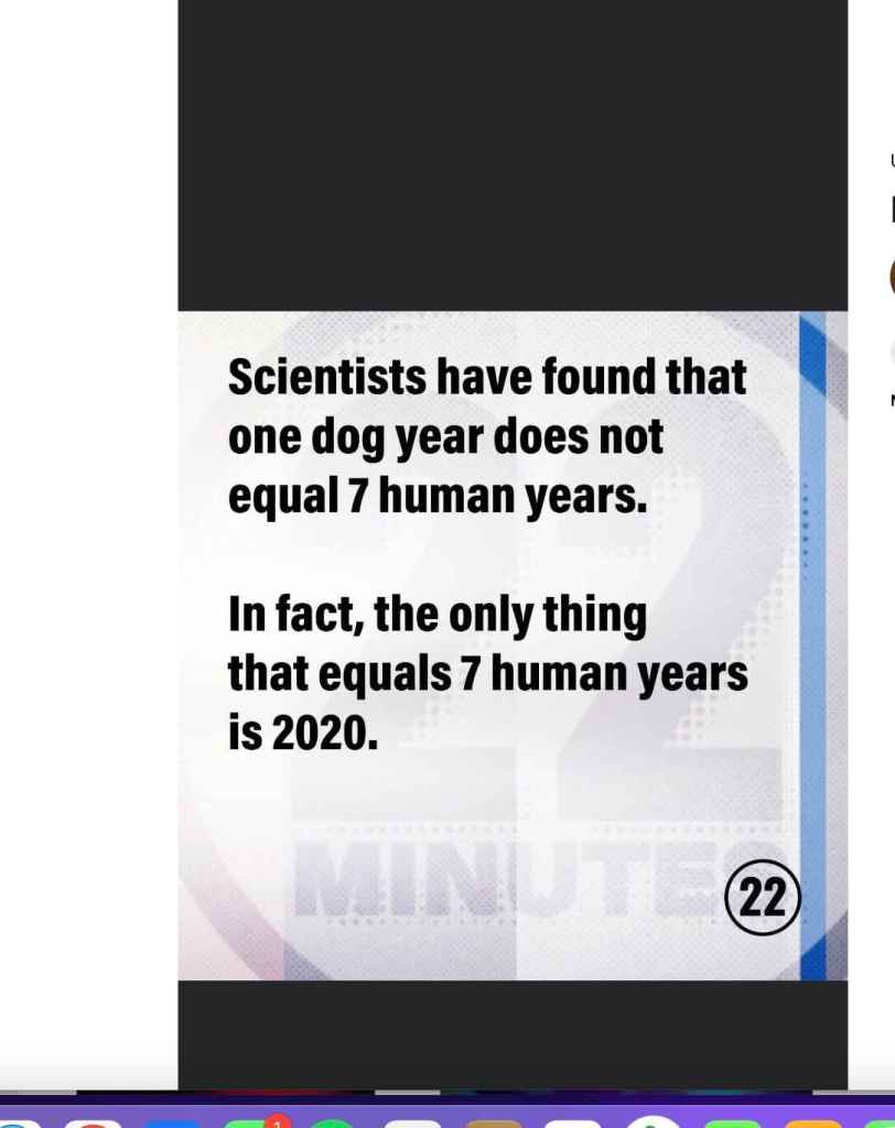 Pandemic Meme about time